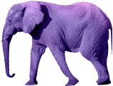 horton elephant