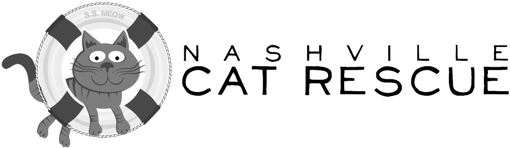 NASH CAT LOGO