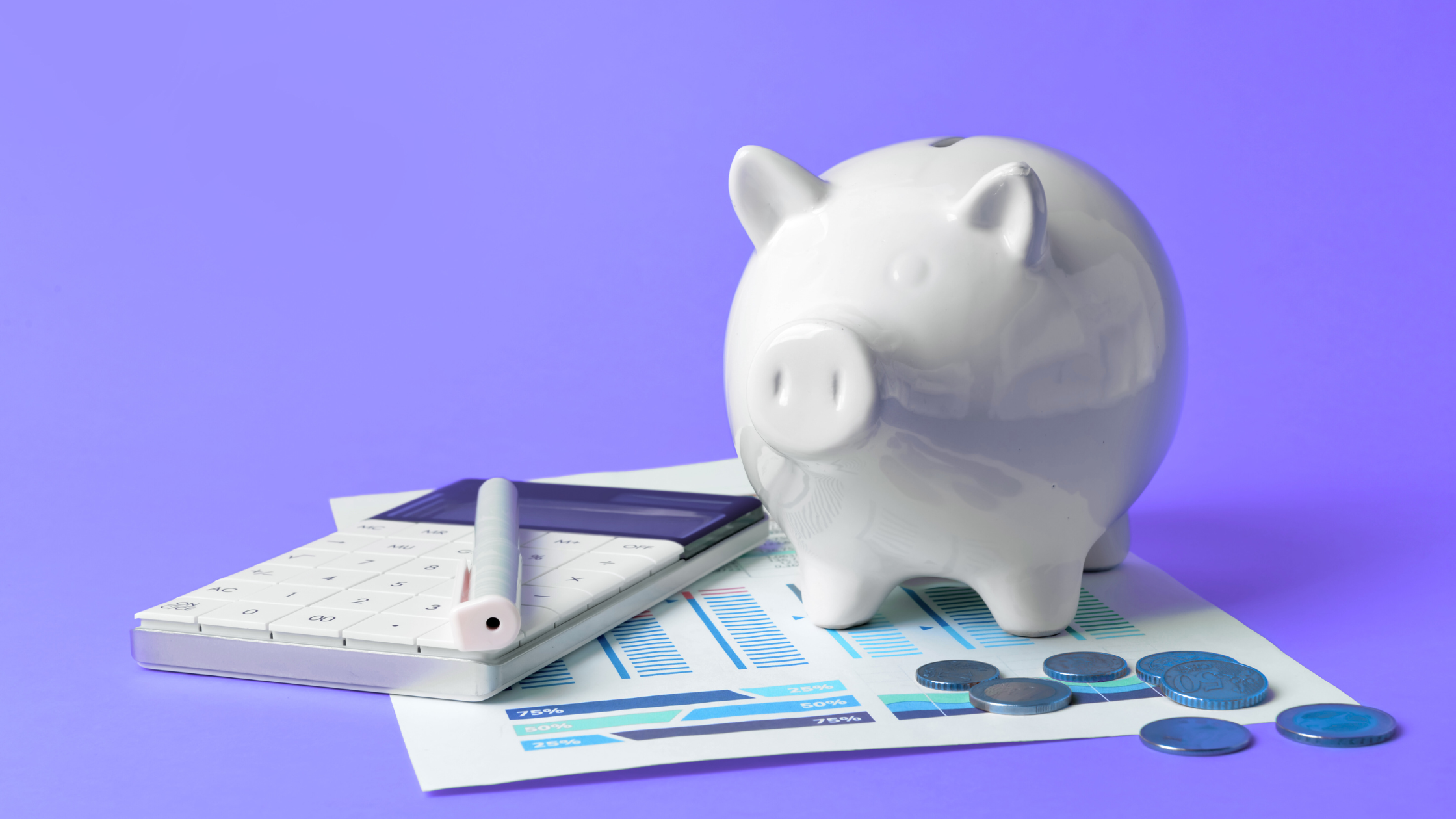 Piggy bank, calculator, paper, and change. Budgeting for a business website in 2026