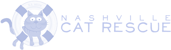 nash cat logo